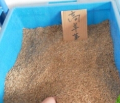 淀粉類糊料的作用有哪些